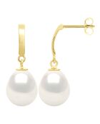 Boucles d'Oreilles Or Jaune & Perles de Culture d'Eau Douce blanches