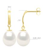 Boucles d'Oreilles Or Jaune & Perles de Culture d'Eau Douce blanches