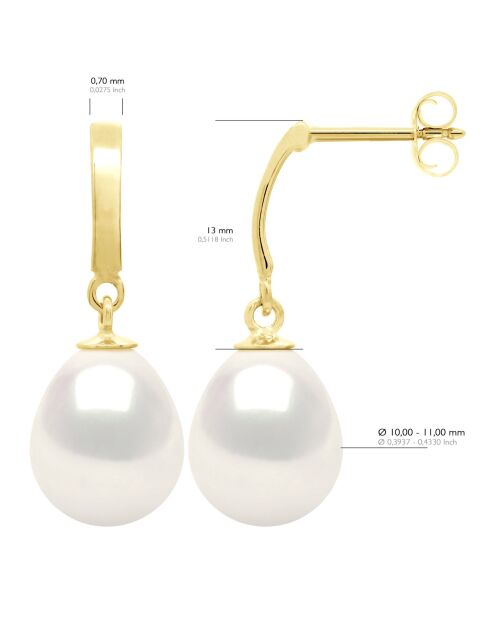 Boucles d'Oreilles Or Jaune & Perles de Culture d'Eau Douce blanches