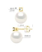 Boucles d'Oreilles Prestige Or Jaune, Diamants 0,04 Cts & Perles de Culture d'Eau Douce Rondes blanches 8-9mm