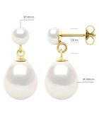 Boucles d'Oreilles Double Or Jaune & Perles de Culture d'Eau Douce Bouton blanches