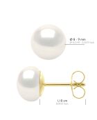 Boucles d'Oreilles Or Jaune & Perles de Culture d'Eau Douce Boutons blanches blanches