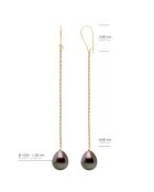 Boucles d'Oreilles Or Jaune & Perles de Culture de Tahiti Poires peacock