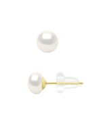 Boucles d'Oreilles en Or Jaune & Perles de Culture d'Eau Douce Boutons blanches 5-6 mm