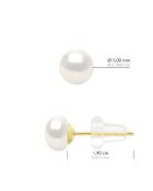 Boucles d'Oreilles en Or Jaune & Perles de Culture d'Eau Douce Boutons blanches 5-6 mm