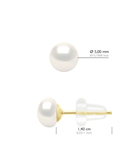 Boucles d'Oreilles en Or Jaune & Perles de Culture d'Eau Douce Boutons blanches 5-6 mm