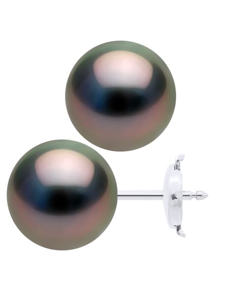 Boucles d'Oreilles - Or Blanc 375 Millièmes - Véritables Perles de Culture de Tahiti Rondes 10-11 mm