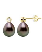 Boucles d'Oreilles Prestige Or jaune, Diamants 0,02 Cts & Perles de Culture de Tahiti Poires peacock
