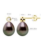 Boucles d'Oreilles Prestige Or jaune, Diamants 0,02 Cts & Perles de Culture de Tahiti Poires peacock