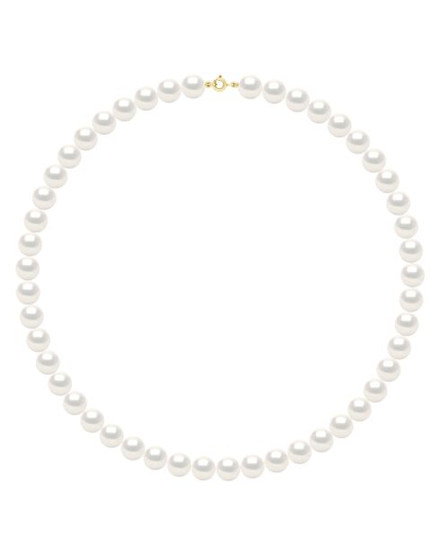 Chocker Perles de Culture d'Eau Douce Rondes blanches
