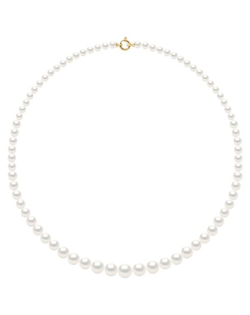 Collier Rang Princesse en Chute en Or Jaune & Perles de Culture d'Eau Douce Rondes blanches de 12 à 6 mm
