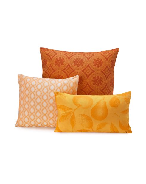 Housse de Coussin Arrière-Pays orange