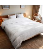 Couette tempérée Anti punaises de lit Greentouch® blanche