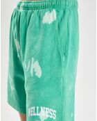 Short Wellness Ivy Gym Tie Dye vert/blanc