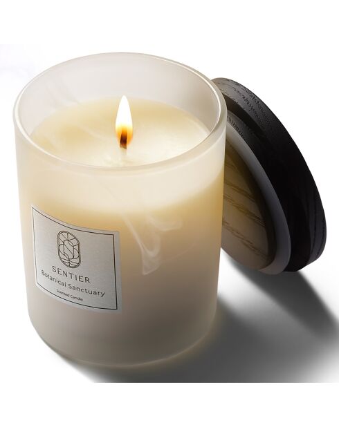 Bougie Sancturaire Botanique - 150 g