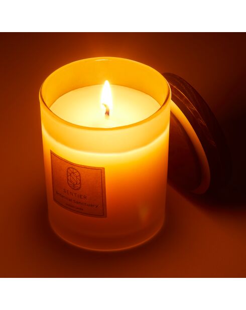 Bougie Sancturaire Botanique - 150 g