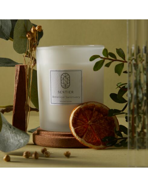 Bougie Sancturaire Botanique - 150 g