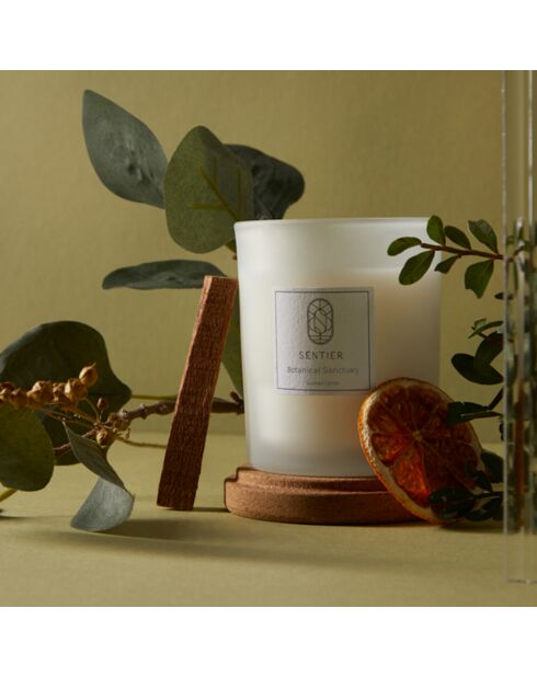 Bougie Sancturaire Botanique - 150 g