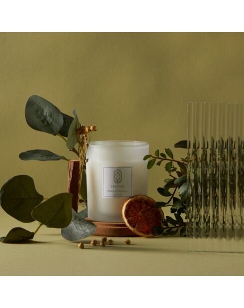 Bougie Sancturaire Botanique - 150 g