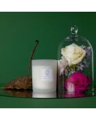 Bougie Le Jardin du Fleuriste - 150 g