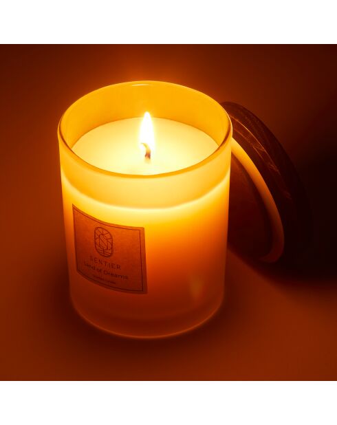 Bougie Terre de Rêve - 150 g
