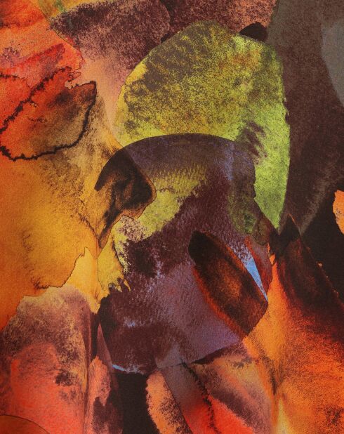 Blusa arancione Afinamia