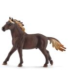 Etalon mustang multicolore