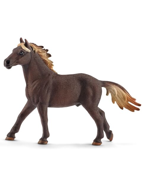 Etalon mustang multicolore