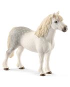 Poney gallois mâle multicolore