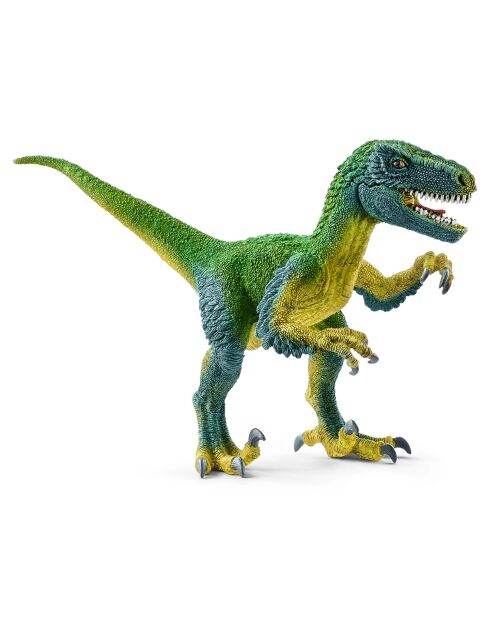 Vélociraptor multicolore