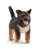 Chiot berger allemand multicolore