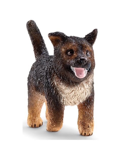 Chiot berger allemand multicolore