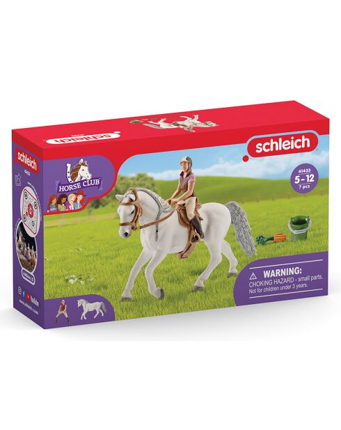 Cavalière sur jument Lipizzan multicolore