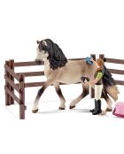 Kit de soin pour chevaux andalous multicolore