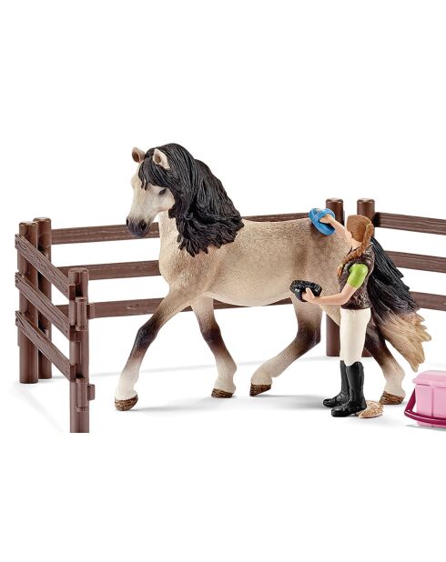 Kit de soin pour chevaux andalous multicolore