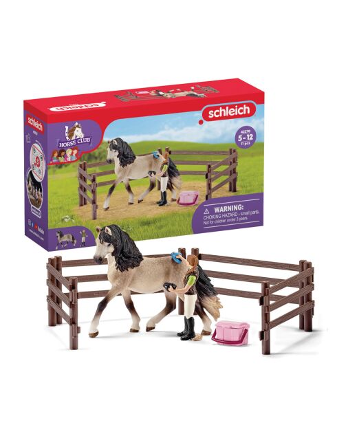 Kit de soin pour chevaux andalous multicolore