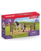 Kit de soin pour chevaux andalous multicolore