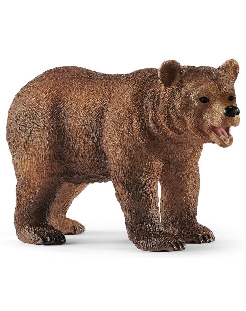 Maman grizzly avec ourson multicolore