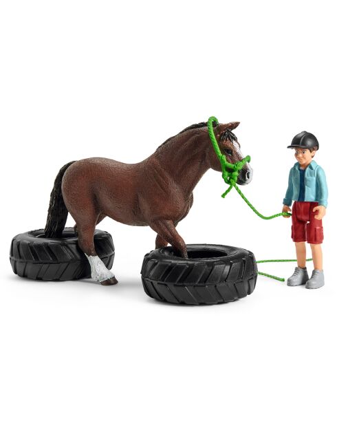 Course d'agility pour poney multicolore