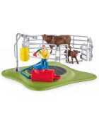 Station de lavage pour vaches multicolore