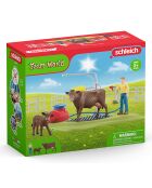 Station de lavage pour vaches multicolore