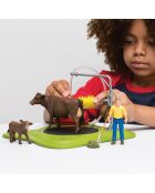 Station de lavage pour vaches multicolore