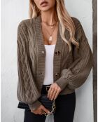 Cardigan Celeste camel