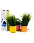 3 Pots de fleurs iman deco  multicolores