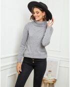 Pull Jade gris