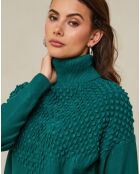 Pull Apolline vert