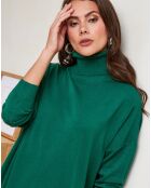 Robe Pull Constance vert