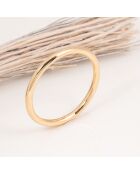 Manchette Merveille dorée