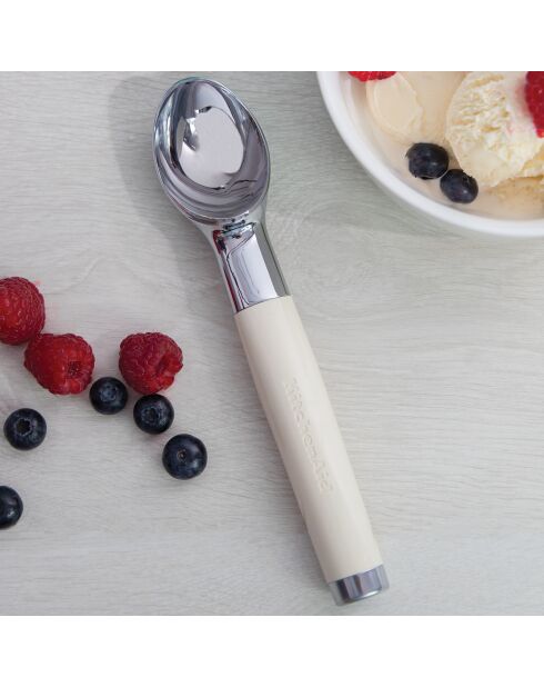 Cuillère pour Boule de Glace créme