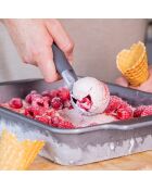 Cuillère à glace grise